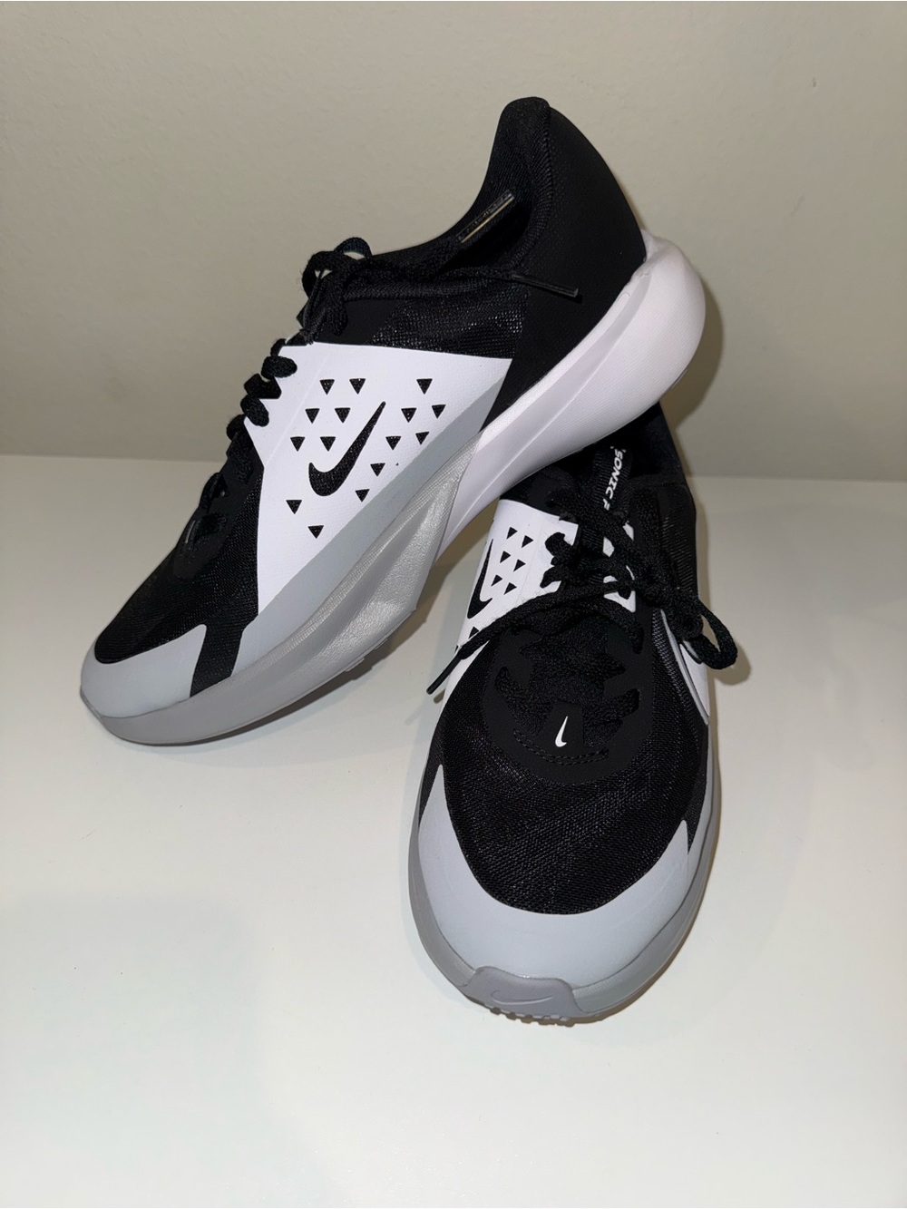 Nike Black and White Training Sneakers